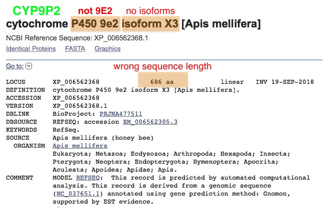 cyp9p2_header.jpg cyp9p2_header.jpg
