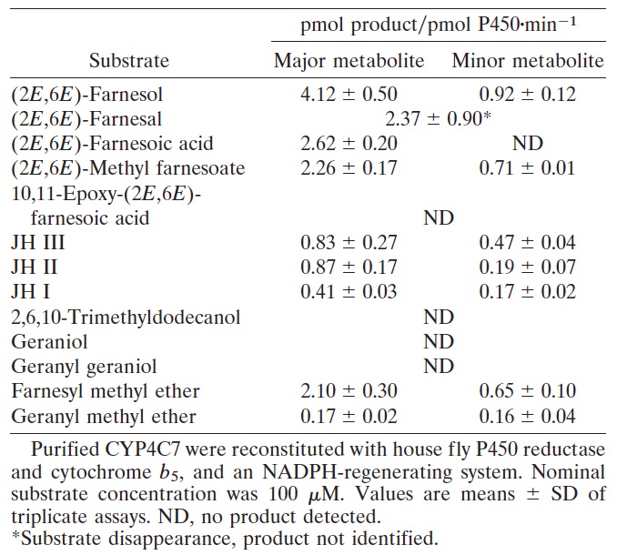 substrate selectivity of CYP4C7