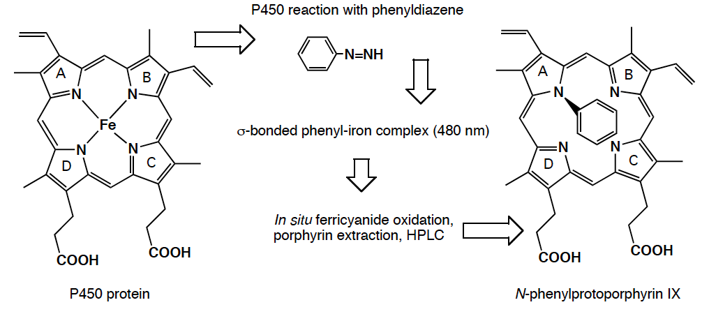 phenyldiazene.png