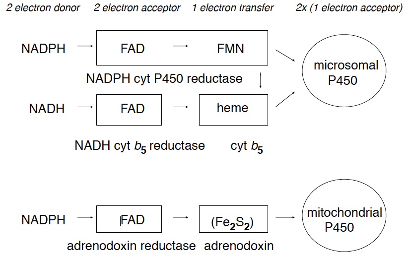 redox_partners.jpg