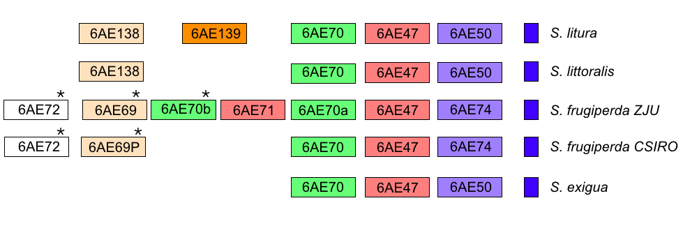 altsplice6ae.png