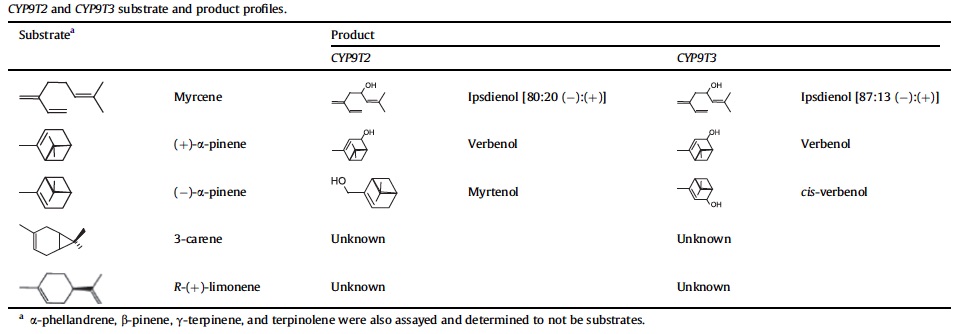 cyp9t2-3.jpg